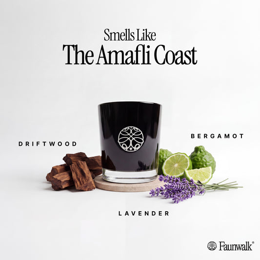 Destination Candles (Pack of 2)
