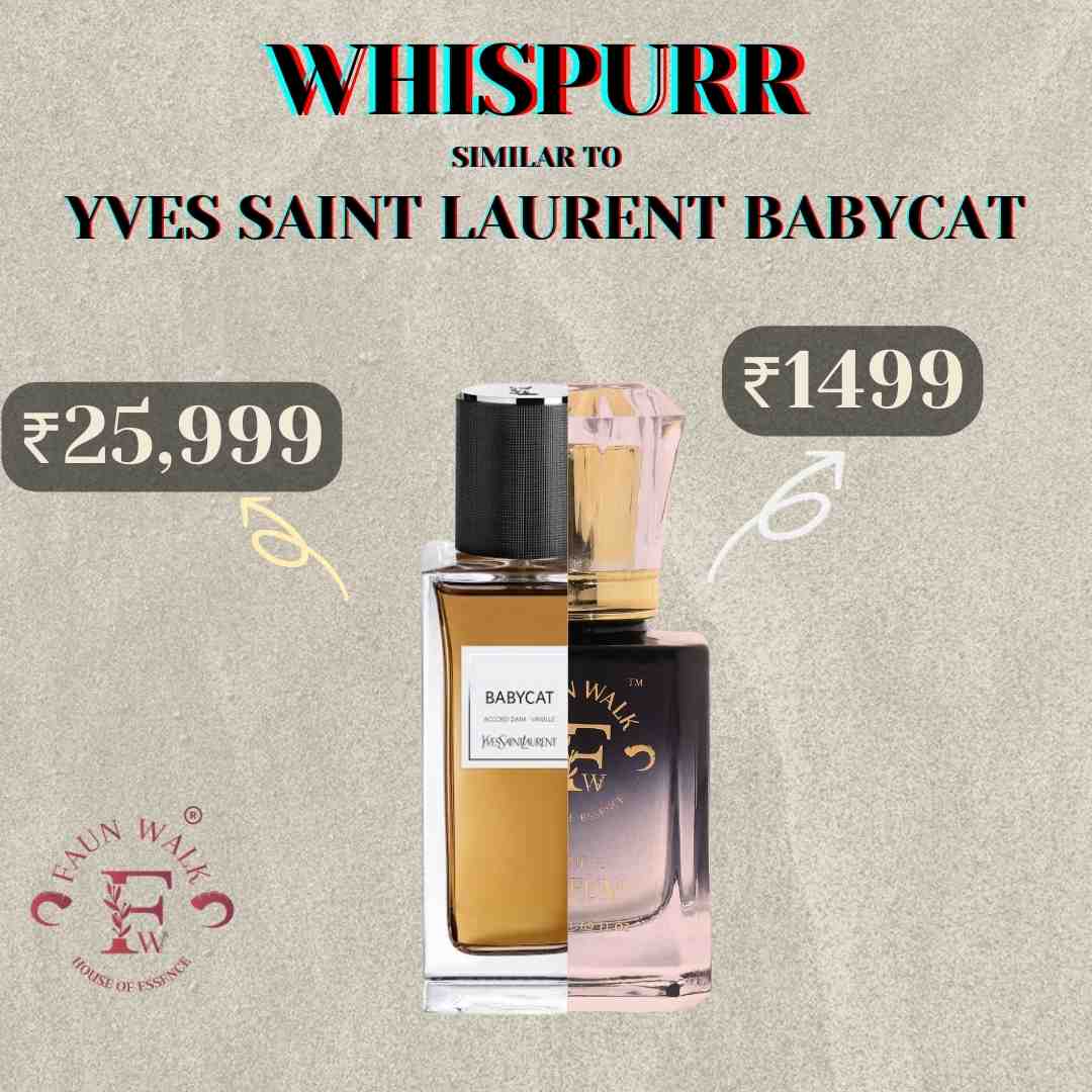 Whispurr (similar to babycat by Ysl)